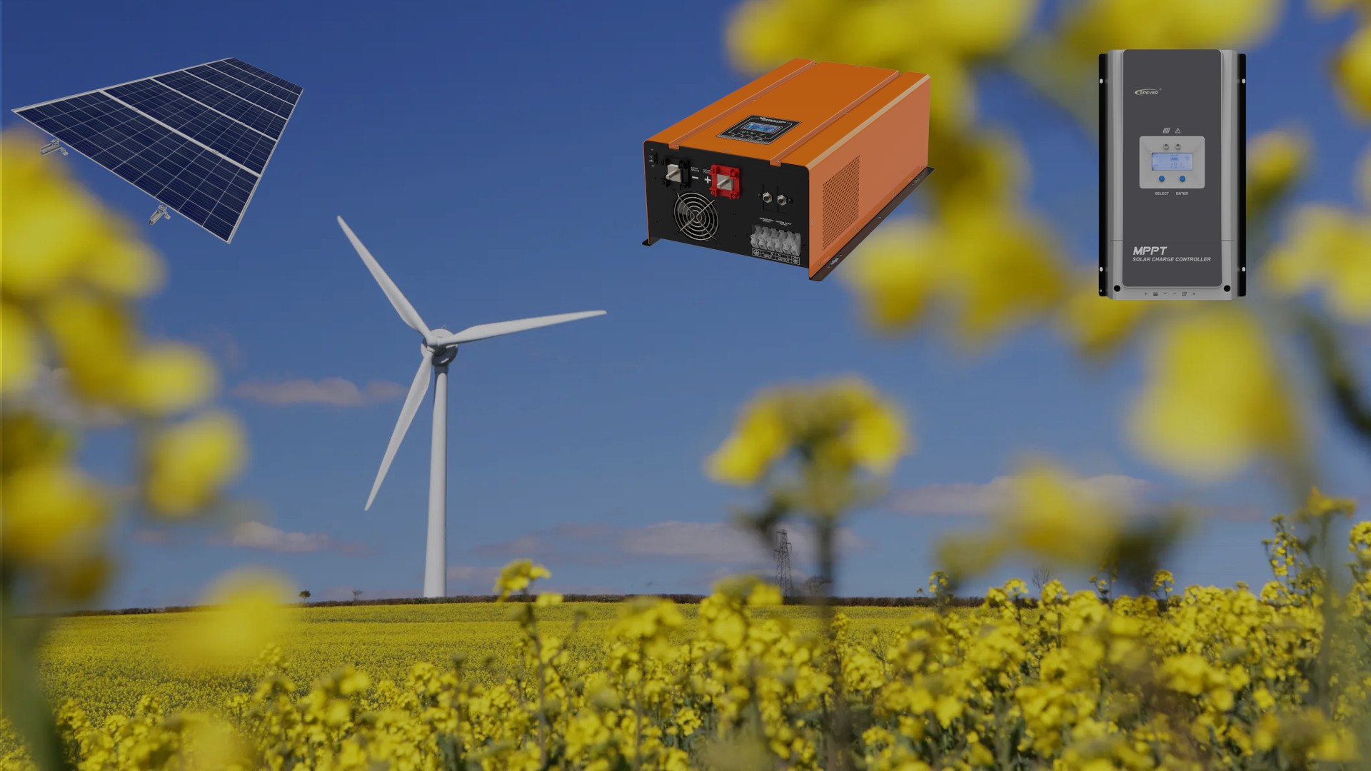 Energie rinnovabili